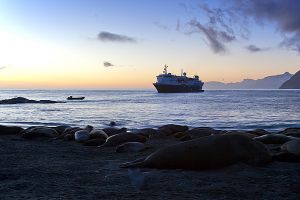 Gold Harbour, South Georgia Island 017.jpg